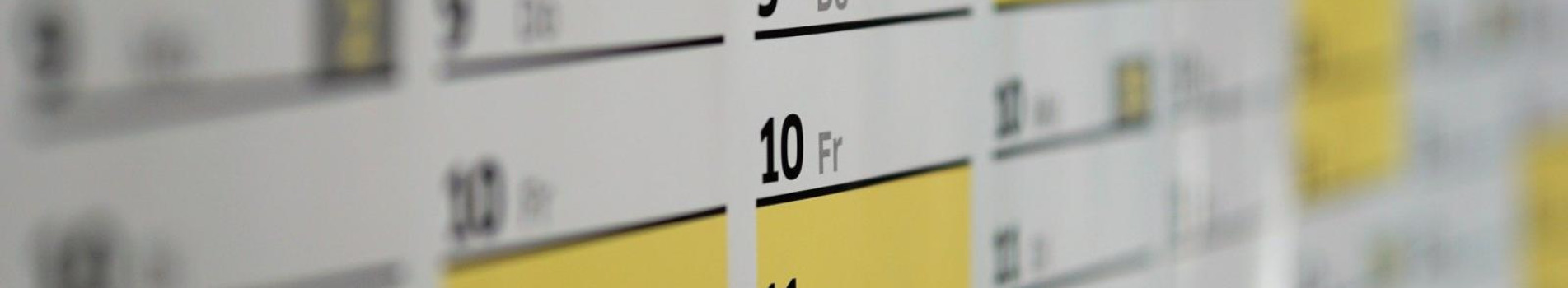 eSocial terá novo calendário este ano