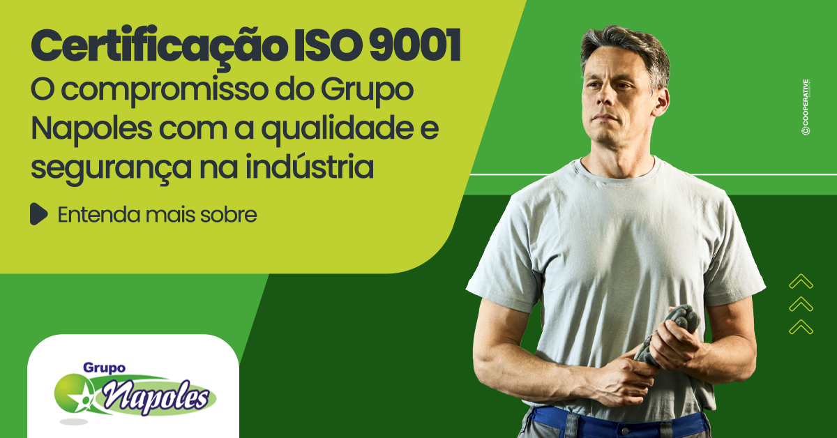 Certificação ISO 9001: o compromisso do Grupo Napoles com a qualidade e ...
